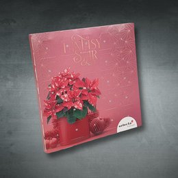 WErbe-Schokoladen-Adventskalender Ritter-Sport mit individuellem Logodruck